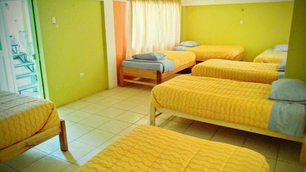 The Grasshopper Hostel Cusco Exteriör bild